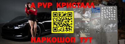 бошки Кингисепп