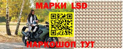 бошки Кингисепп