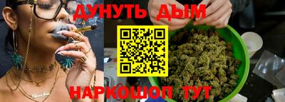 бошки Кингисепп