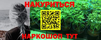 бошки Кингисепп