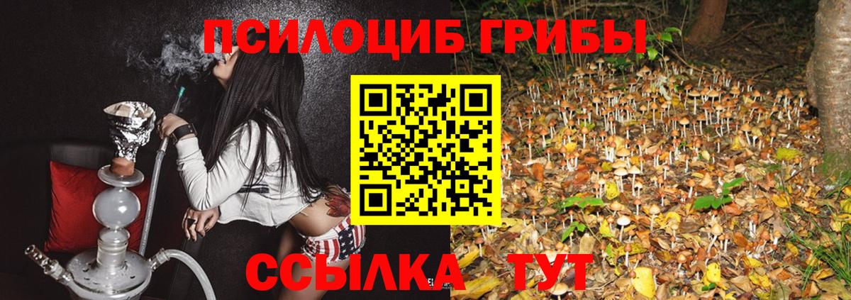 Псилоцибиновые грибы Cubensis  Вход с VPN  Псилоцибиновые грибы прущие грибы  Карталы 