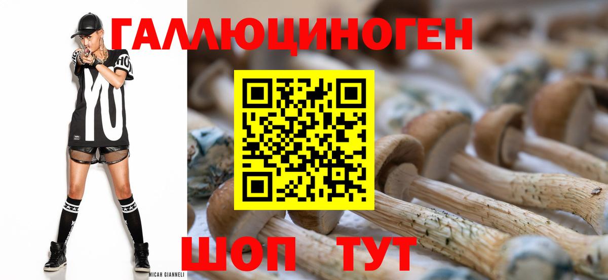 Псилоцибиновые грибы мицелий Карталы